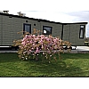 Willerby Vogue Classique Lodge