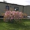 Willerby Vogue Classique Lodge