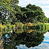 Hillside Meadow Lodges